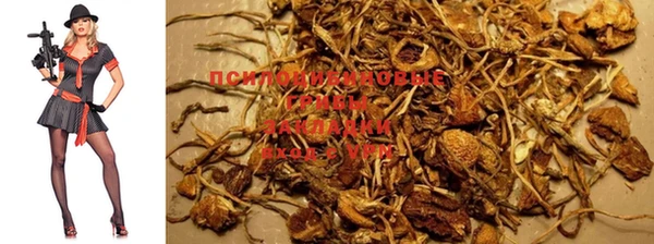 MESCALINE Пролетарск