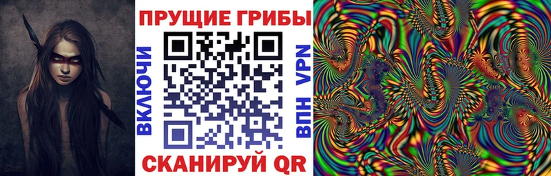 Псилоцибиновые грибы Magic Shrooms  где купить наркоту  OMG ссылки  Цоци-Юрт 
